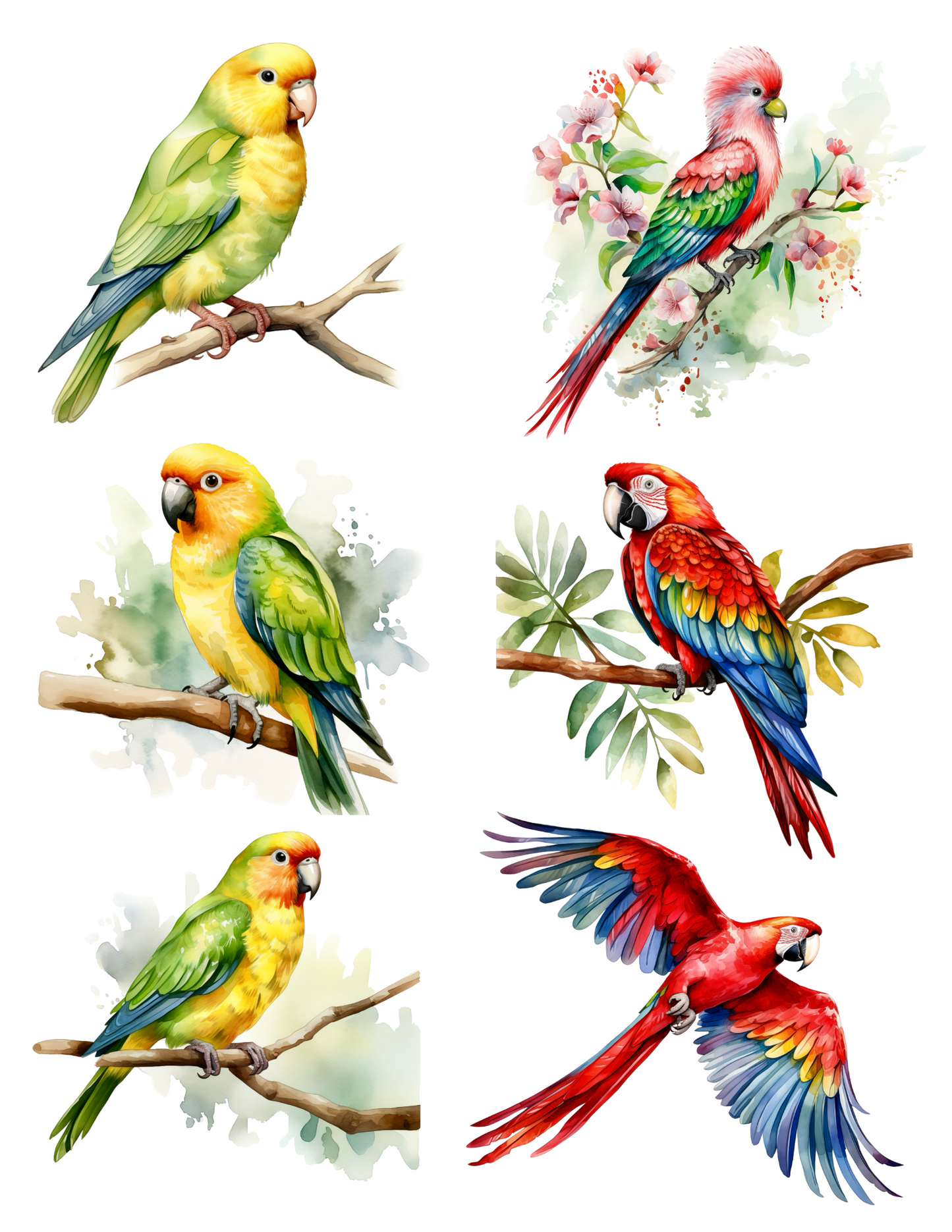 Reispapier für Decoupage, exotische Papageien-Collage, Kat.-Nr. 4520