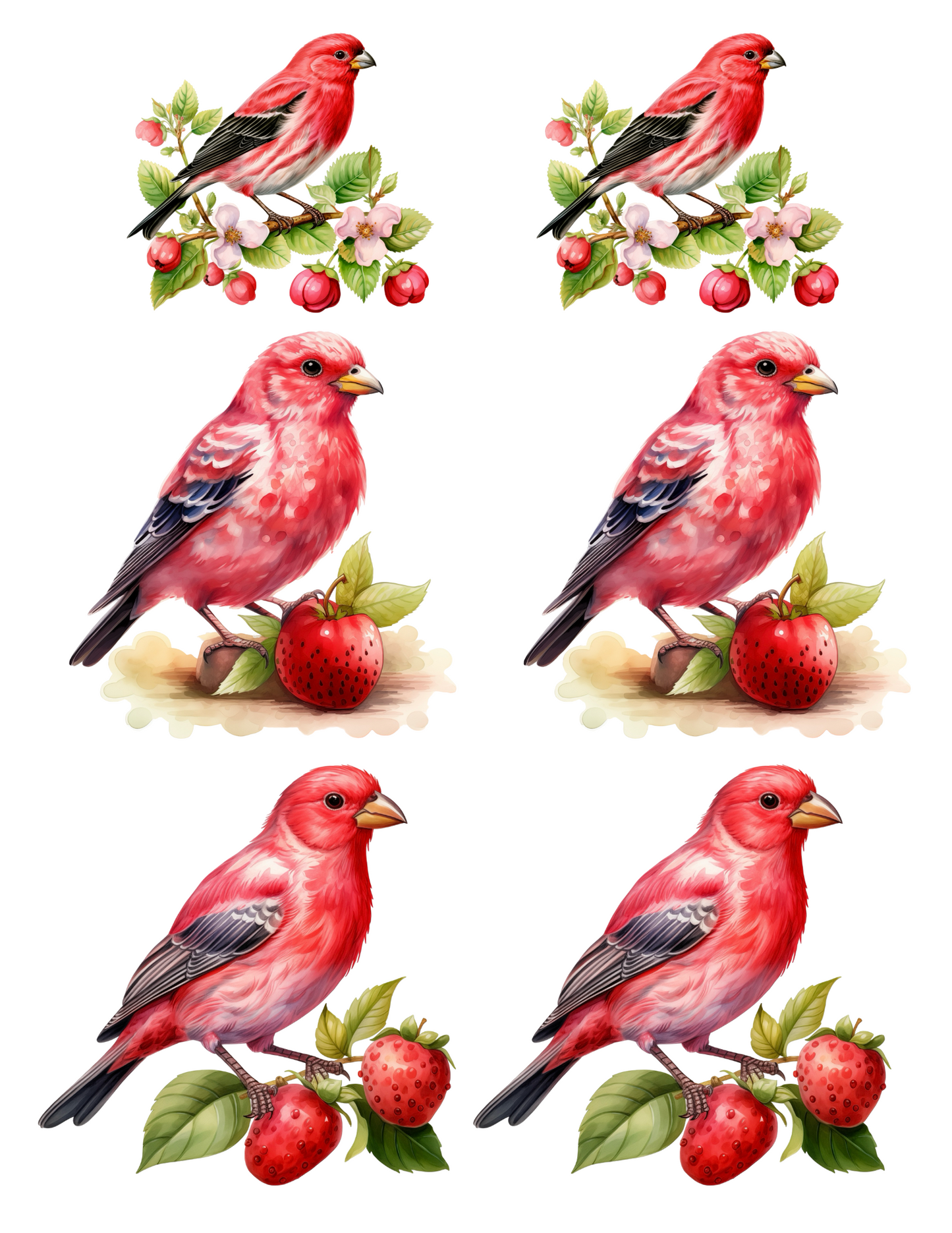 Reispapier für Decoupage „Red Bird 2 Collage“ Kat. Nr. 4579