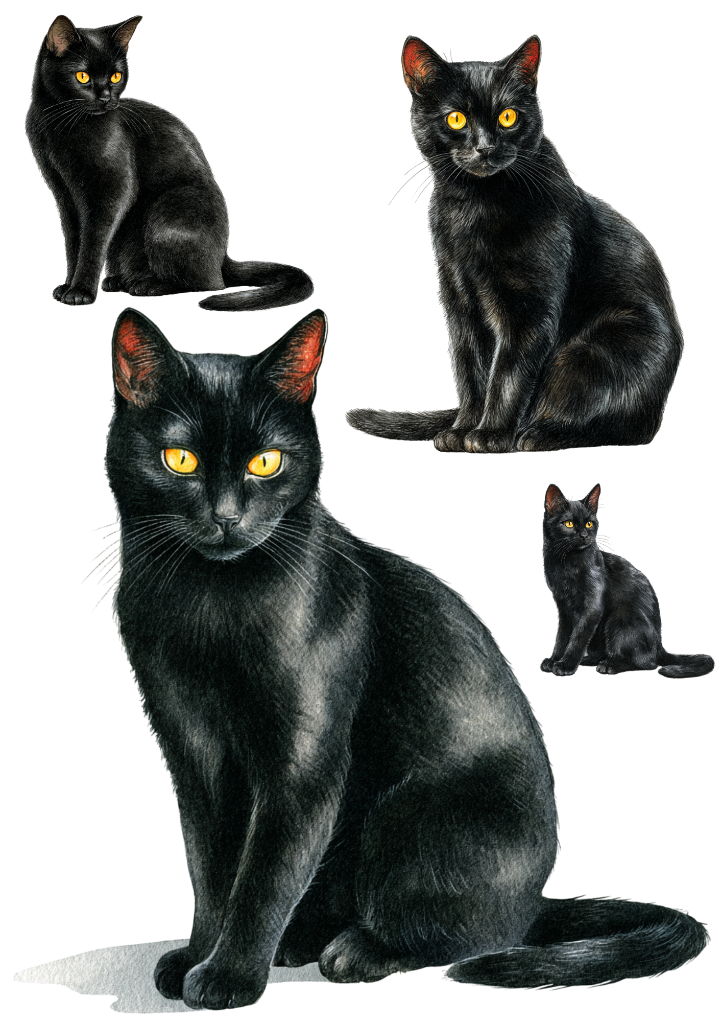 Reispapier für Decoupage Schwarze Katze Collage Kat. Nr. 4888