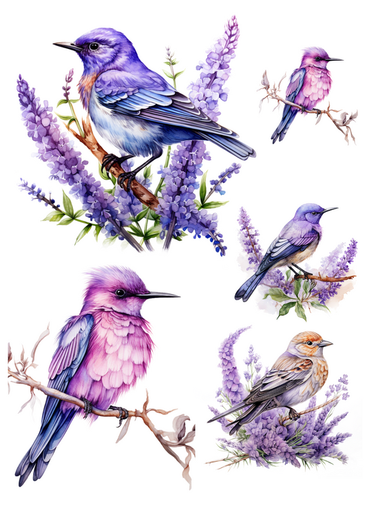 Reispapier für Decoupage-Vögel-Collage, Kat. Nr. 4004