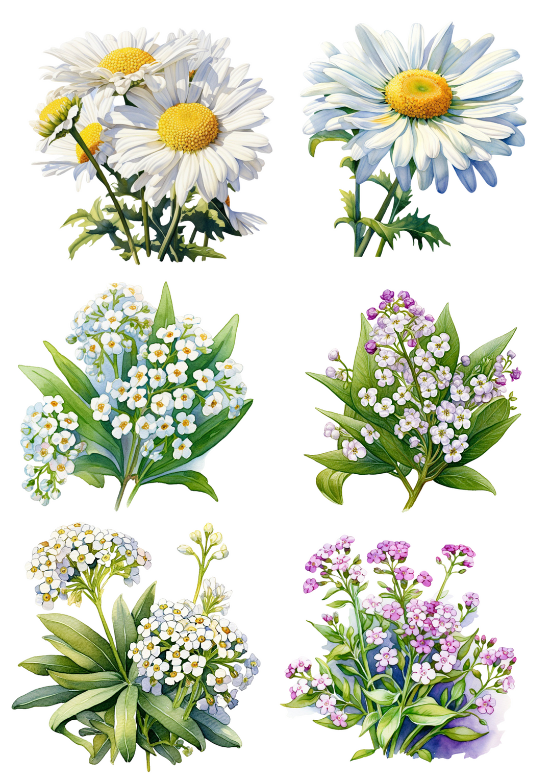 Rice Paper For Decoupage Chamomile, Wildflowers Collage Cat. No. 4465