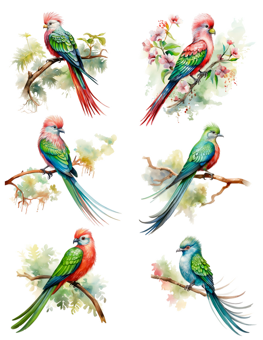 Reispapier für Decoupage, Paradiesvögel, exotische Collage, Kat. Nr. 4519