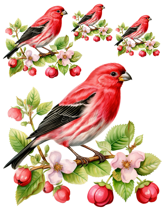 Reispapier für Decoupage, Collage mit rotem Vogel, Kat. Nr. 4578