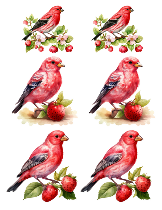 Reispapier für Decoupage „Red Bird 2 Collage“ Kat. Nr. 4579