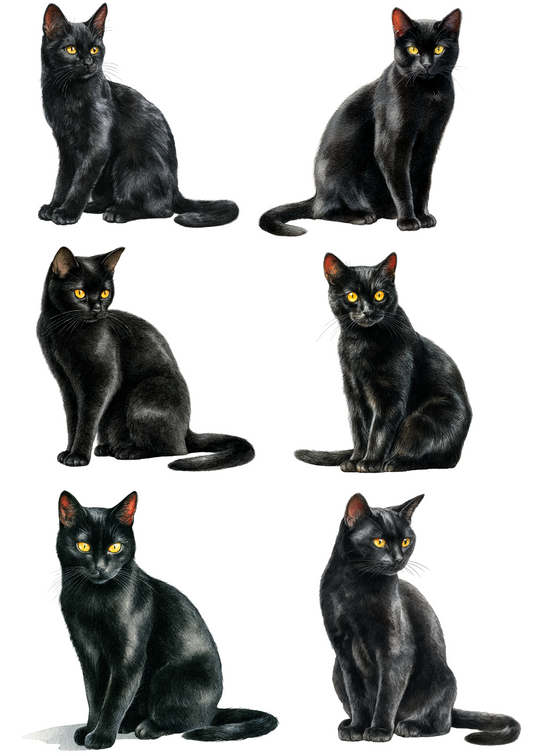 Reispapier für Decoupage Schwarze Katze Collage Kat. Nr. 4889