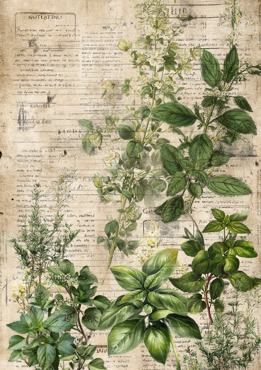 Rice Paper For Decoupage Vintage Botanical Herbs Background For Junk Journaling Cat. No. 4947