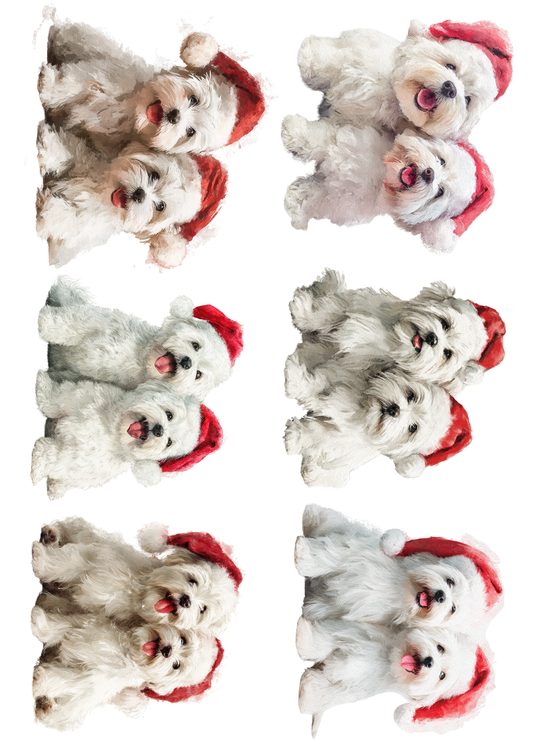 Rice Paper For Decoupage Maltese Dog in Christmas Hat Collage Cat. No. 5138