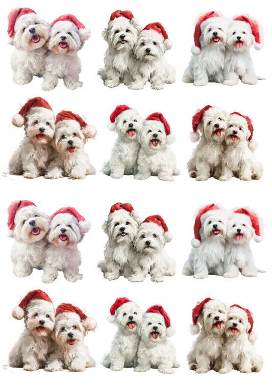 Rice Paper For Decoupage Maltese Dog in Christmas Hat Collage Cat. No. 5139