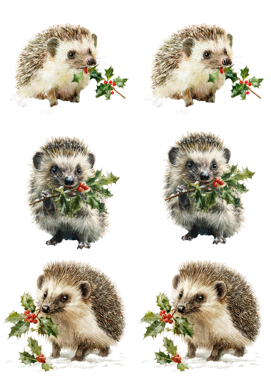Rice Paper For Decoupage Hedgehog With Rowan Branch Collage Cat. No. 5480