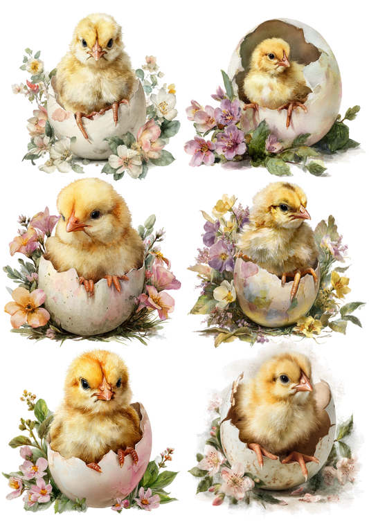 Reispapier für Decoupage, Blumenhintergrund, vollständig, Kat. Nr. 4809