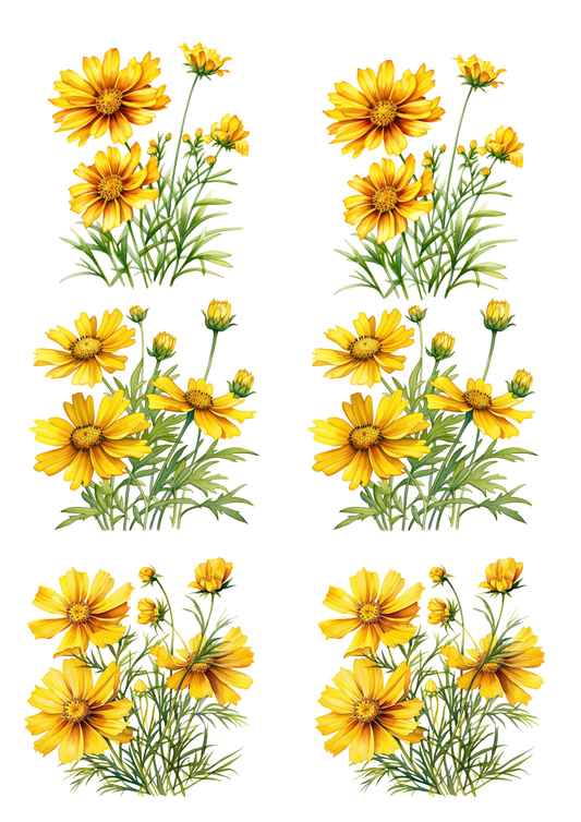 Rice Paper For Decoupage Marigolds Collage Cat. No. 5748