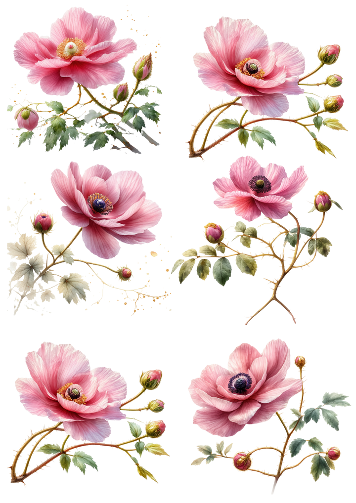 Rice Paper For Decoupage Anemones Collage Cat. No. 8546