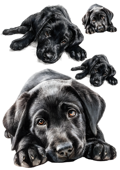 Rice Paper For Decoupage  Black Cute Labrador Retriever Collage Cat. No. 9445
