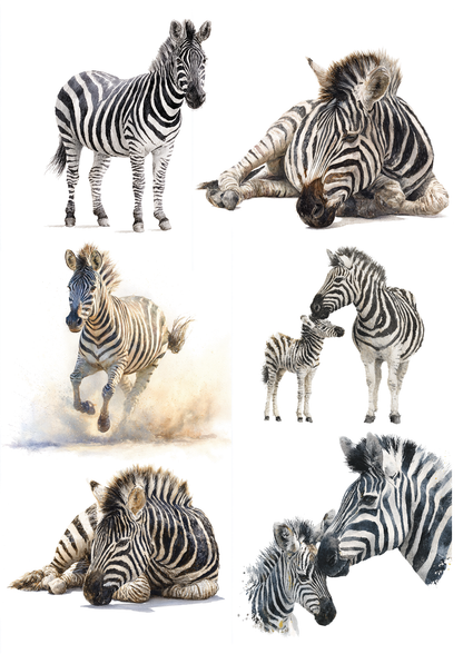Rice Paper For Decoupage African Zebra Collage  Cat. No. 9606