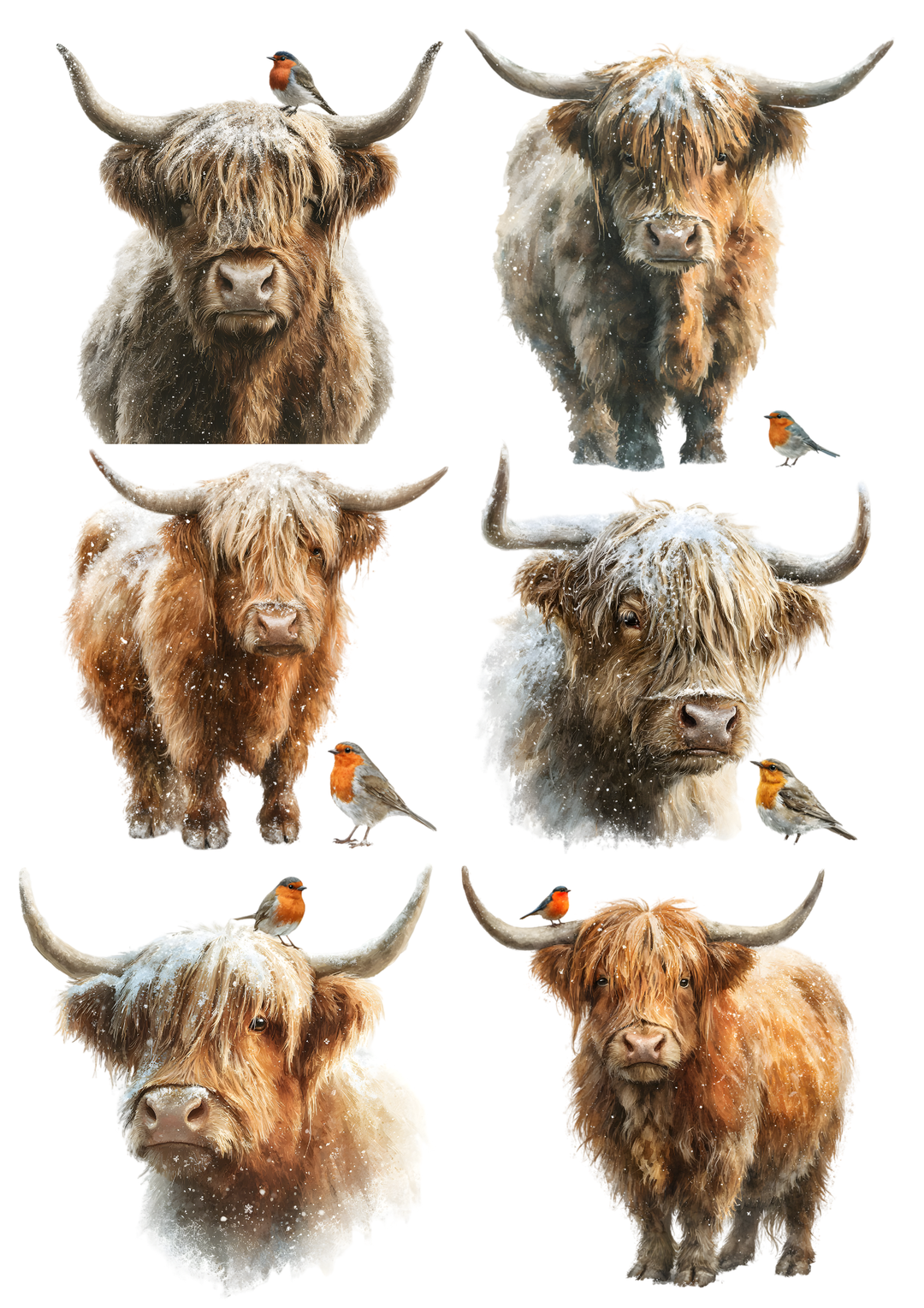 Rice Paper For Decoupage Highland Cow &amp; Red Robin Collage Cat. No. 9750