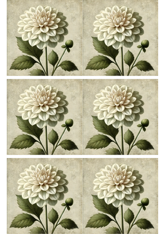 Rice Paper For Decoupage Dahlia Flower On White Background Collage Cat. No. 2977