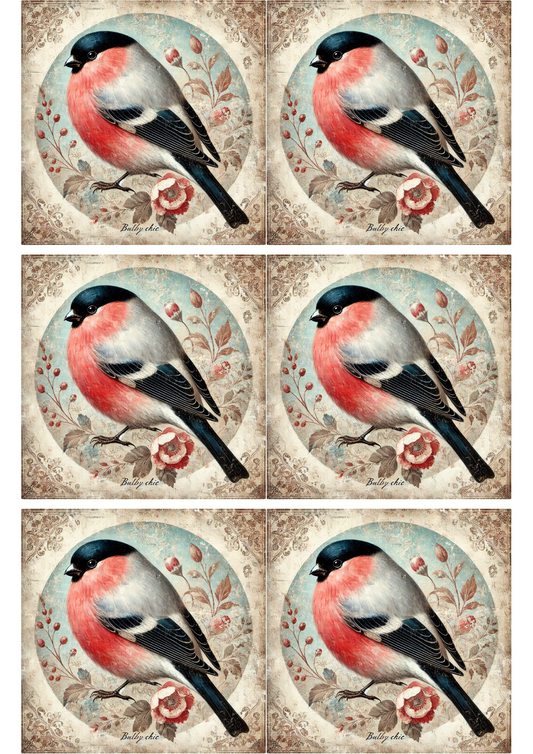 Reispapier für Decoupage Vogel Gimpel Shabby Chic Collage Kat. Nr. 1906