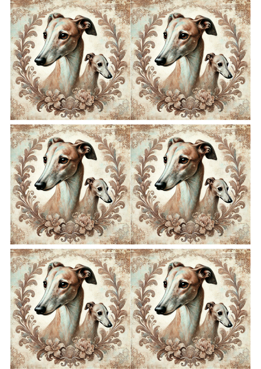 Reispapier für Decoupage Windhund Shabby Chic Collage Kat. Nr. 1950