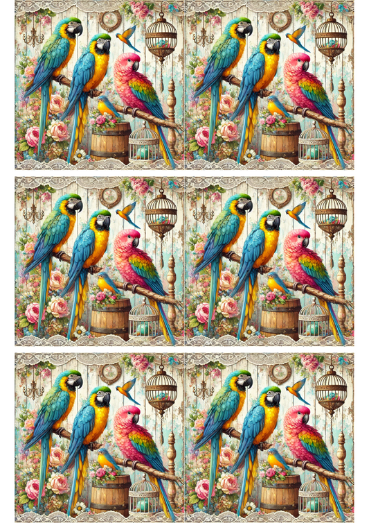 Reispapier für Decoupage Bunte Papageien Collage Kat. Nr. 2016