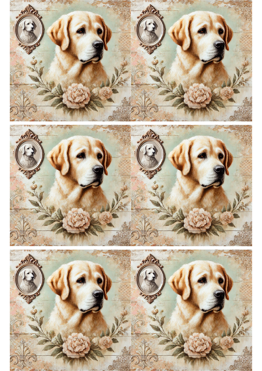 Reispapier für Decoupage Labrador Shabby Chic Collage, Kat. Nr. 2064