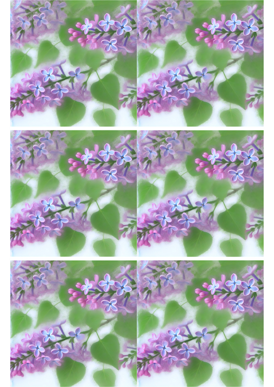 Rice Paper For Decoupage Lilac Branch Collage, Cat. No. 2084