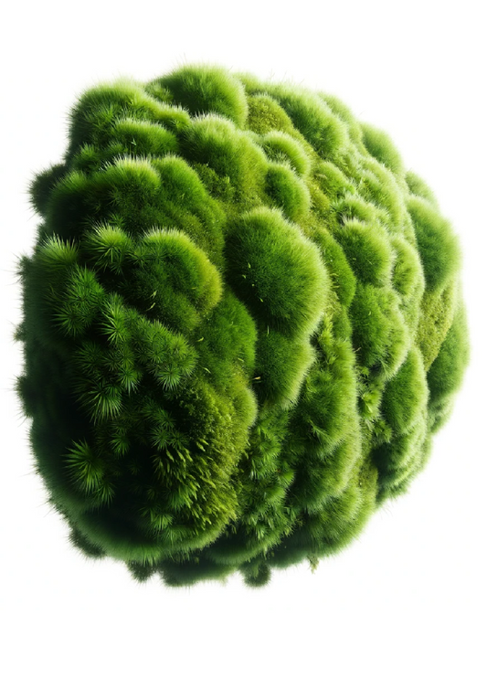 Rice Paper For Decoupage Moss Full Cat No. 1092