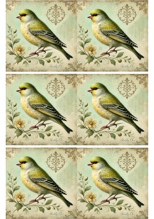 Reispapier für Decoupage Vogel Shabby Chic Collage Kat. Nr. 2284
