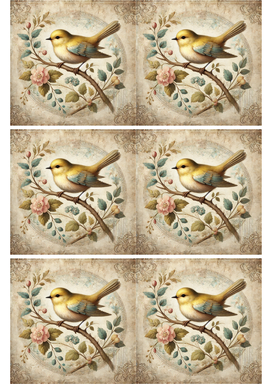 Reispapier für Decoupage Vogel auf Zweig Shabby Chic Collage Kat. Nr. 2292