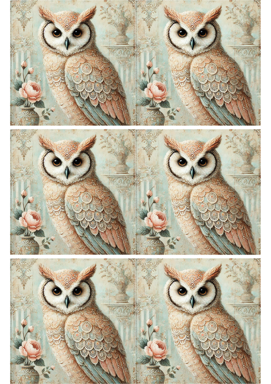 Reispapier für Decoupage Eule Shabby Chic Collage Kat. Nr. 2479
